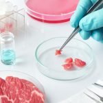 Argentina logra producir carne cultivada